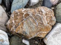 Hellbrauner Stein mit vorstehenden weißen, netzartigen Strukturen